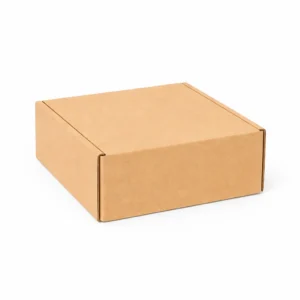 Caja de envio 20x20x10 cm cerrada en carton microcorrugado para despachos